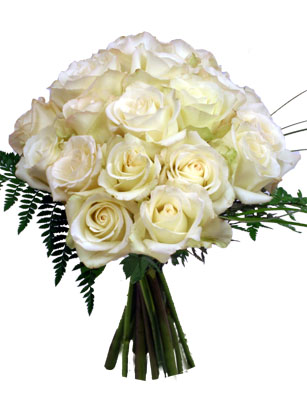 Perfect Pureness - White Roses Bouquet - The color of these exquisite white roses conveys purity, clarity, and a new beginning. White roses are extremely elegant, graceful, and understated. If you want a bouquet that is beautiful in its simplicity, white roses are perfect. 
Your fresh white roses will arrive in the bud stage, hand-tied and ready to be arranged in your favorite vase. Send your special gift of white roses today and relax. You've made a great choice.

Order your white roses by 1:00 EST for FedEx next day delivery Tuesday-Saturday. Elegant vases and other special items are available during checkout. Overnight delivery Tuesday - Friday is $10.99, Saturday is $19.99. 

Satisfaction with your roses is guaranteed. All of our flower bouquets are shipped farm fresh. Your white roses come hand-tied, budding, and ready to make someone smile.<br><br>Code:10008-9031-10008-0000082804